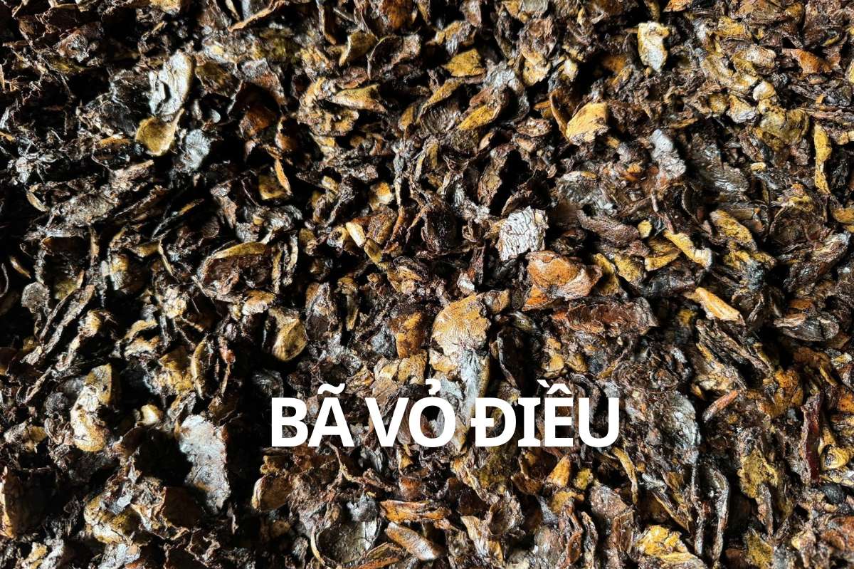 Home ba dieu viet an energy