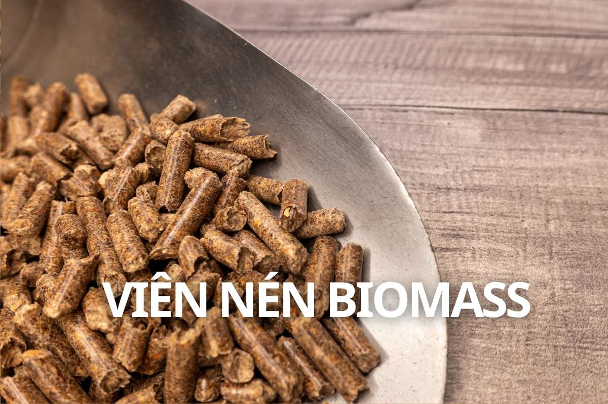 Home vien nen biomass vietanenergy
