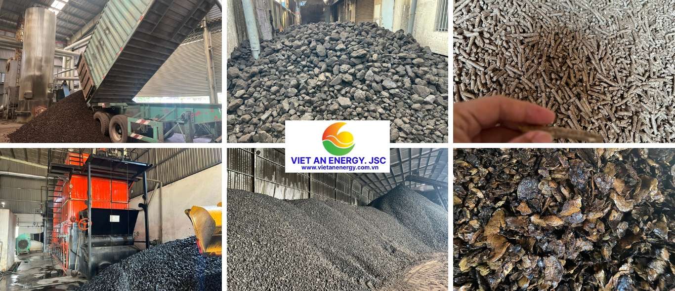 Home việt ân energy